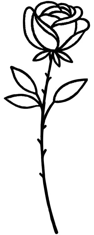 Timeless Rose