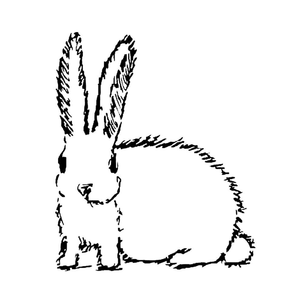 Lucky Rabbit