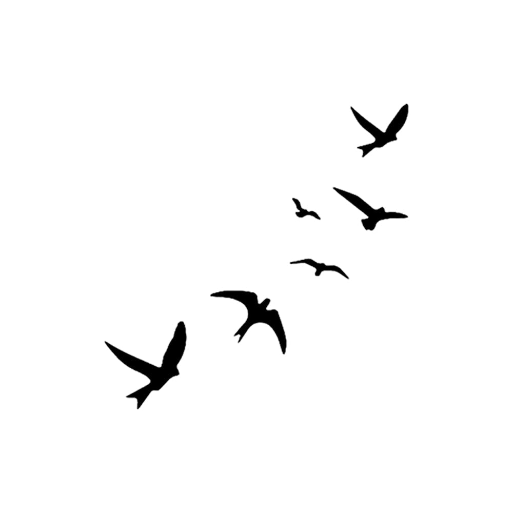 Soaring