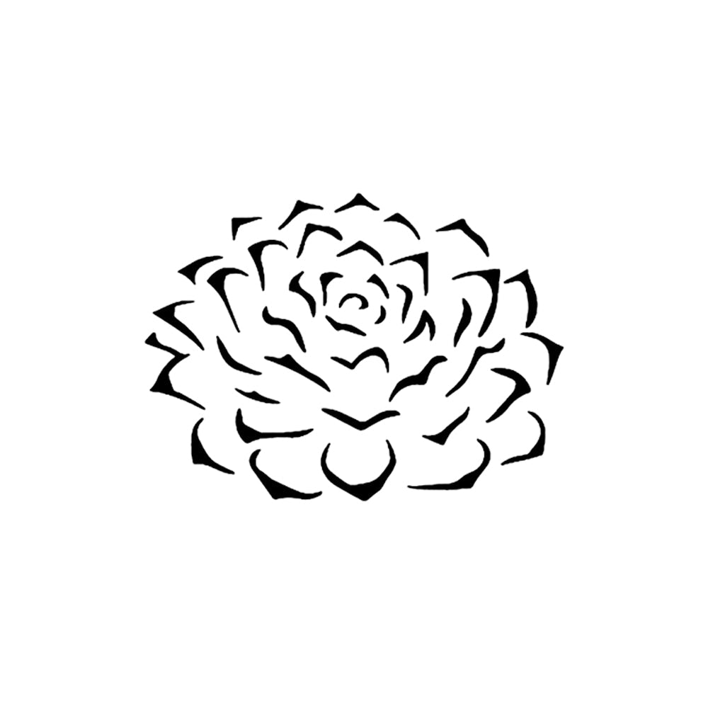 Blooming Succulent
