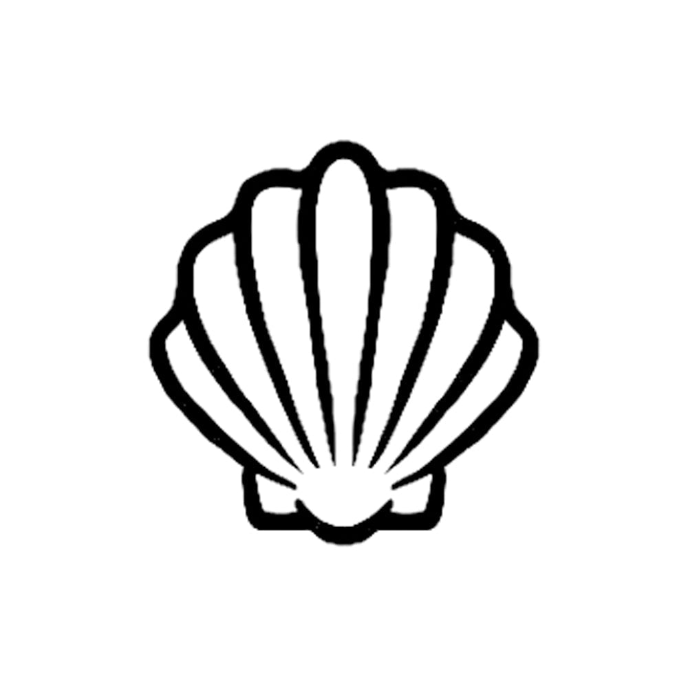 Scallop