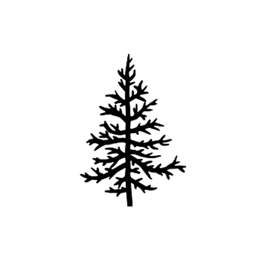 Evergreen
