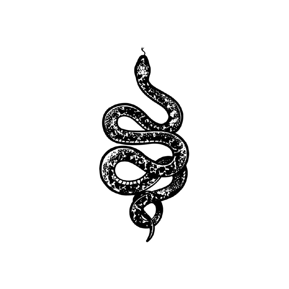 Coiled Viper