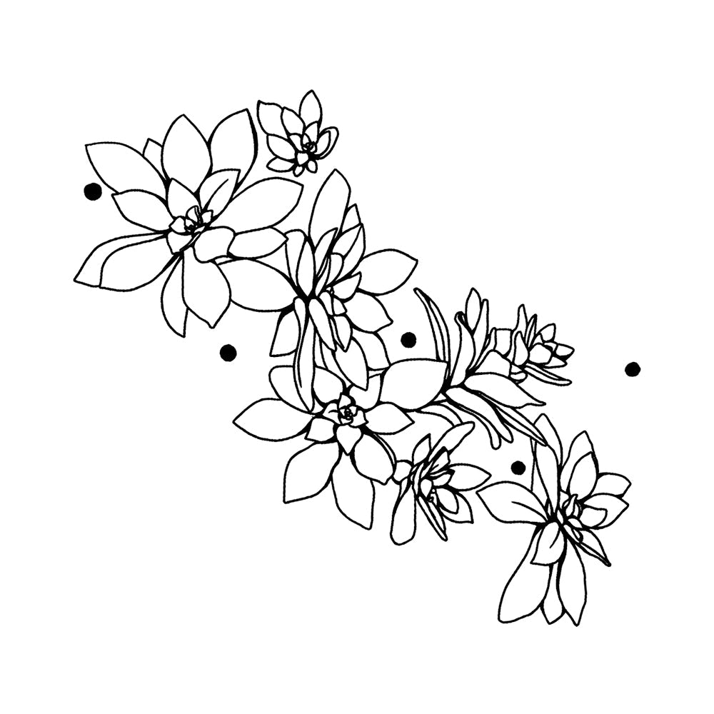 Cassiopeia