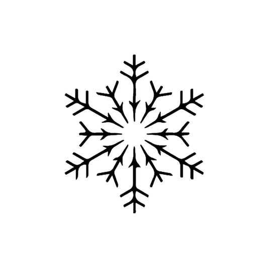 Snowfall