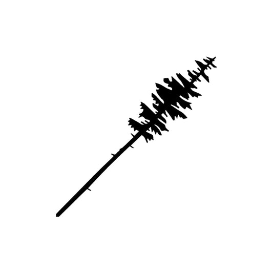 Fir