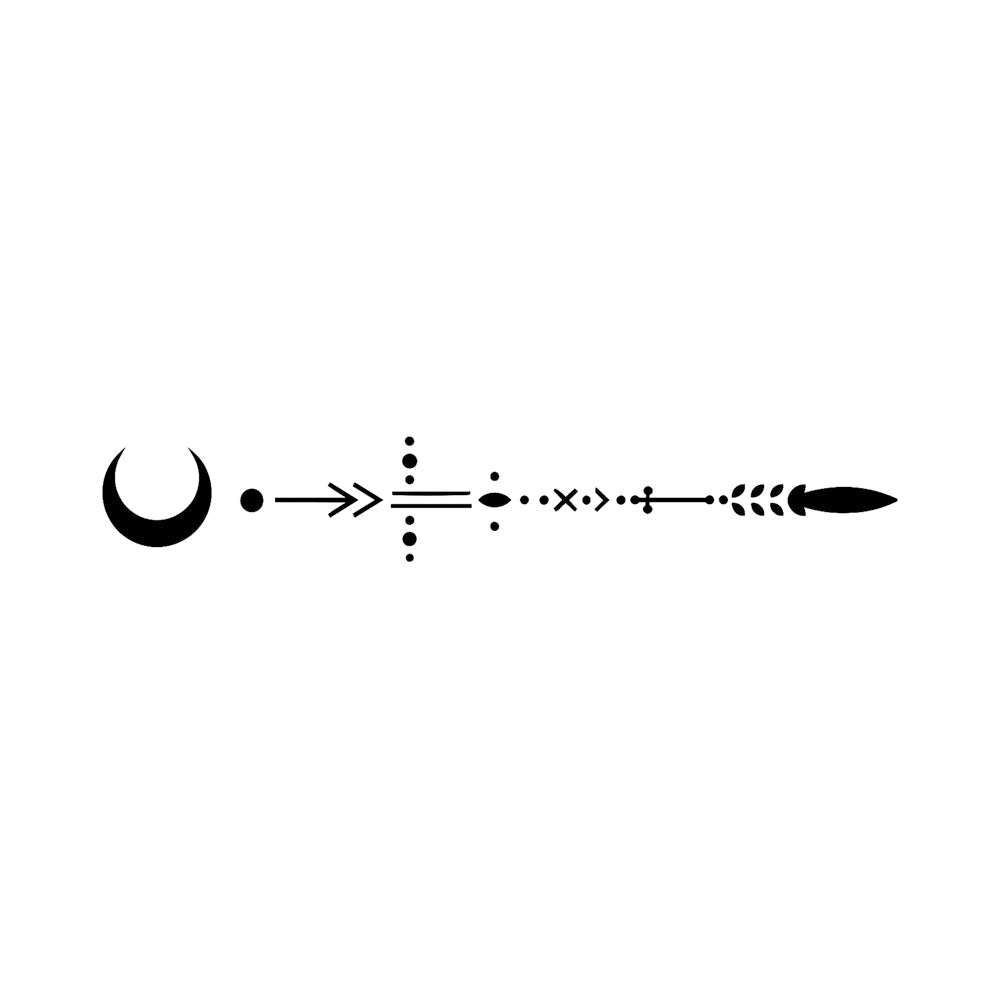 Fly By Moonlight