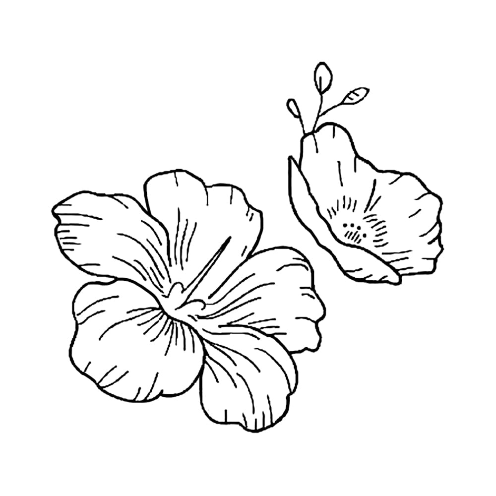 Camellia