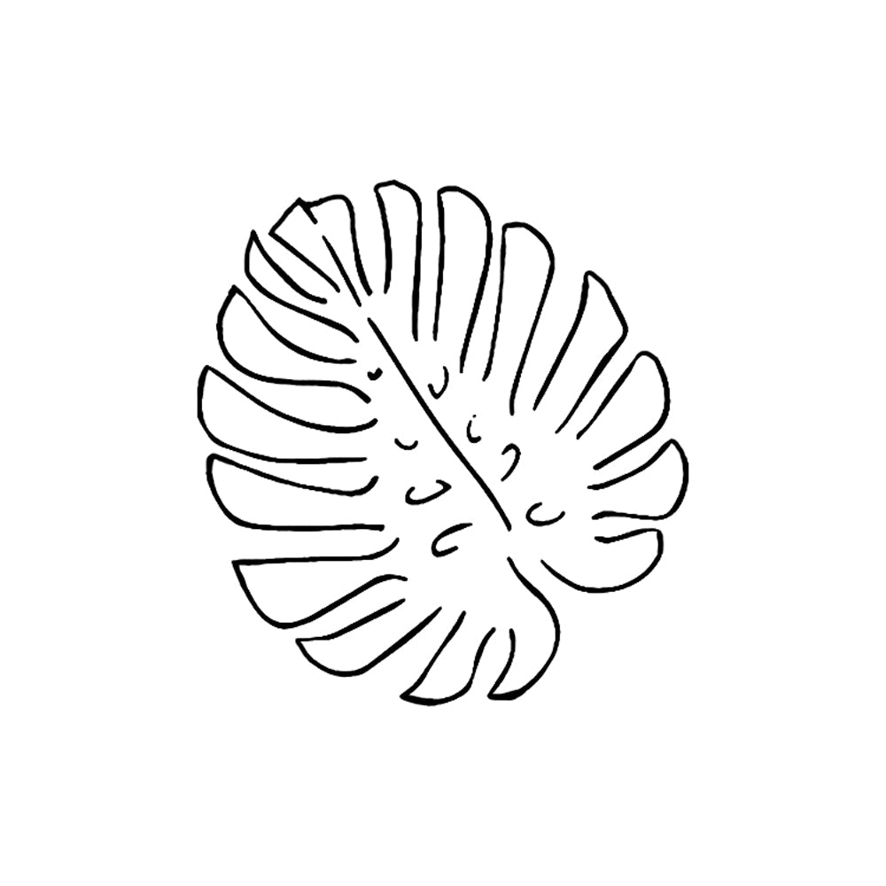 Monstera