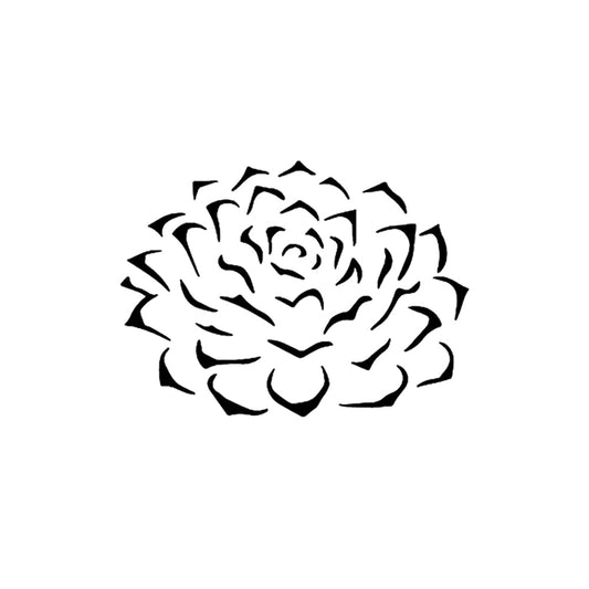 Blooming Succulent