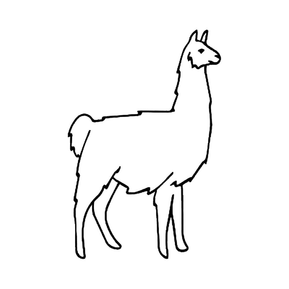 Little Llama