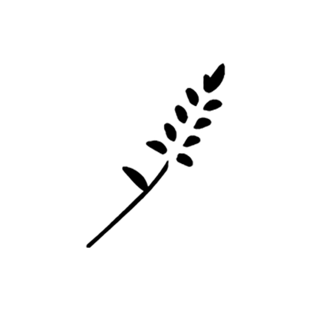 Lavare