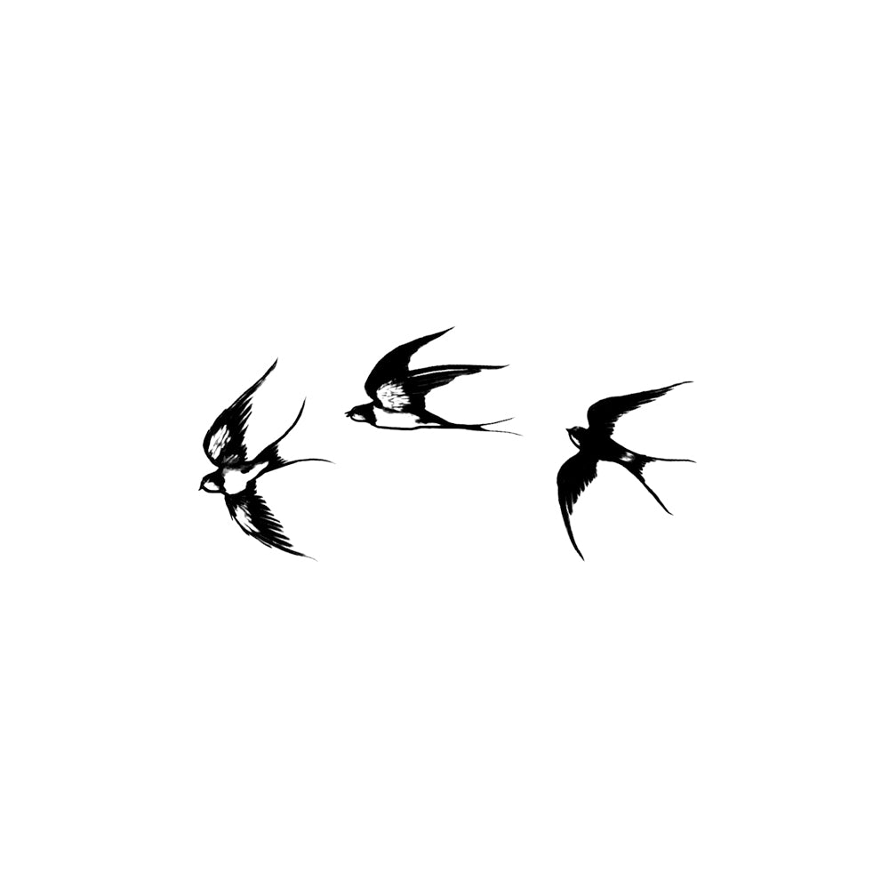 Soar High