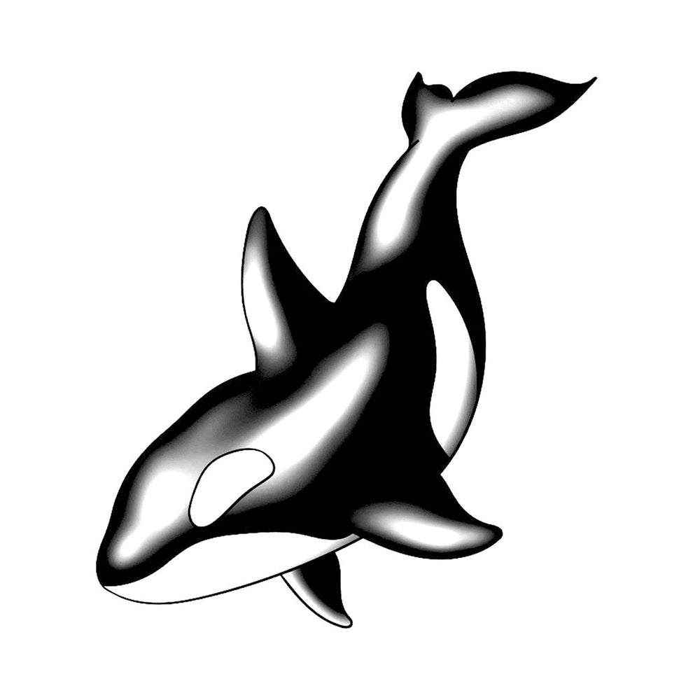 Willy