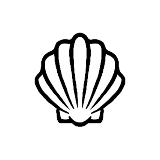 Scallop