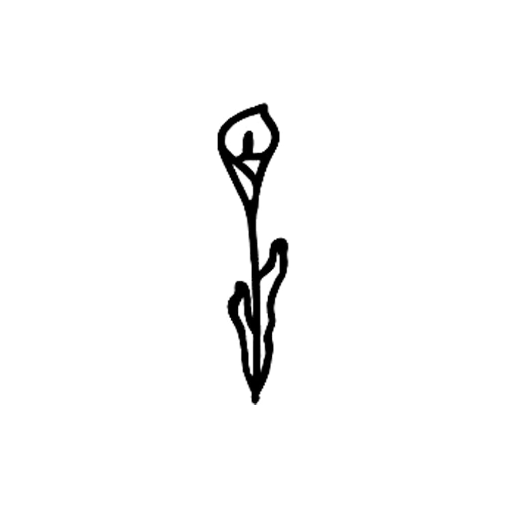 Calla Lily