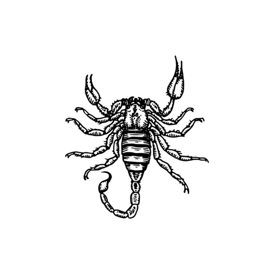 Night Stinger