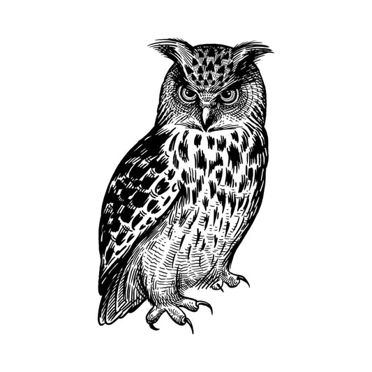 Wild Wisdom