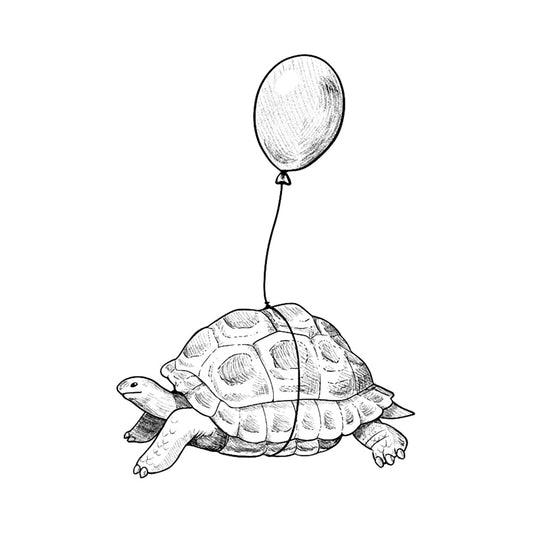 Tortoise Friend