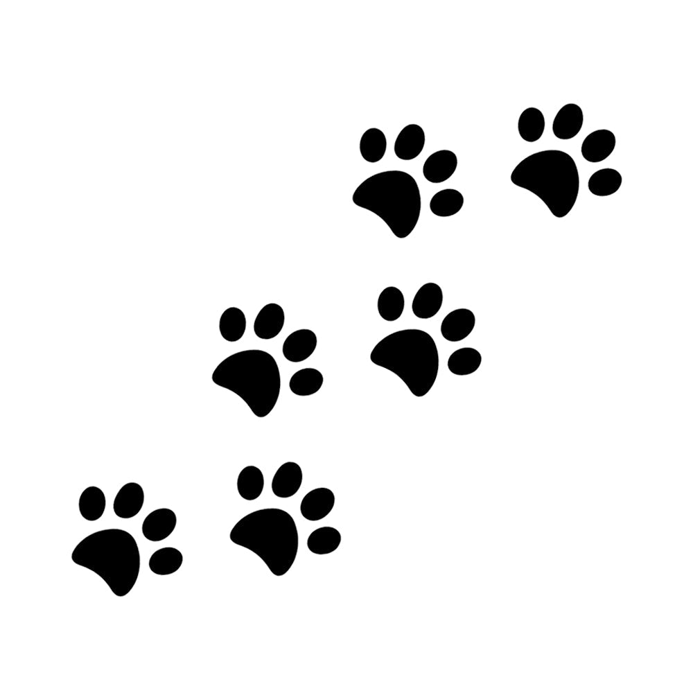 Canine