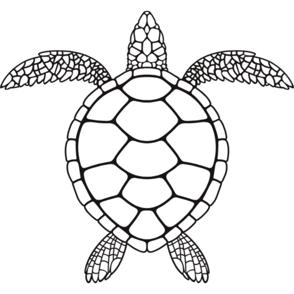 Semi-Permanent - Black Line Only