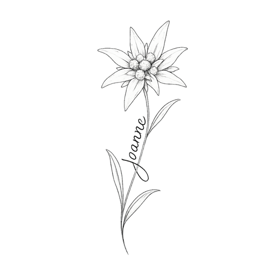 Semi-Permanent - Black Line Only