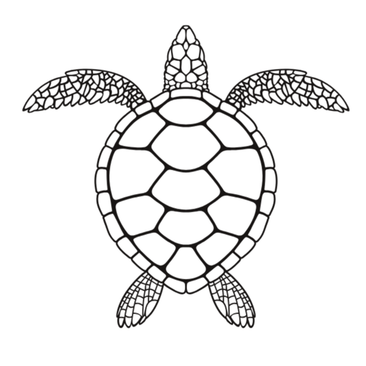 Semi-Permanent - Black Line Only