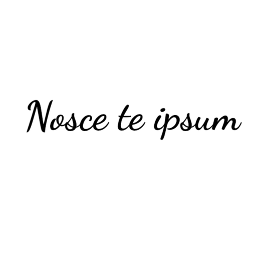 Semi-Permanent - Black Line Only