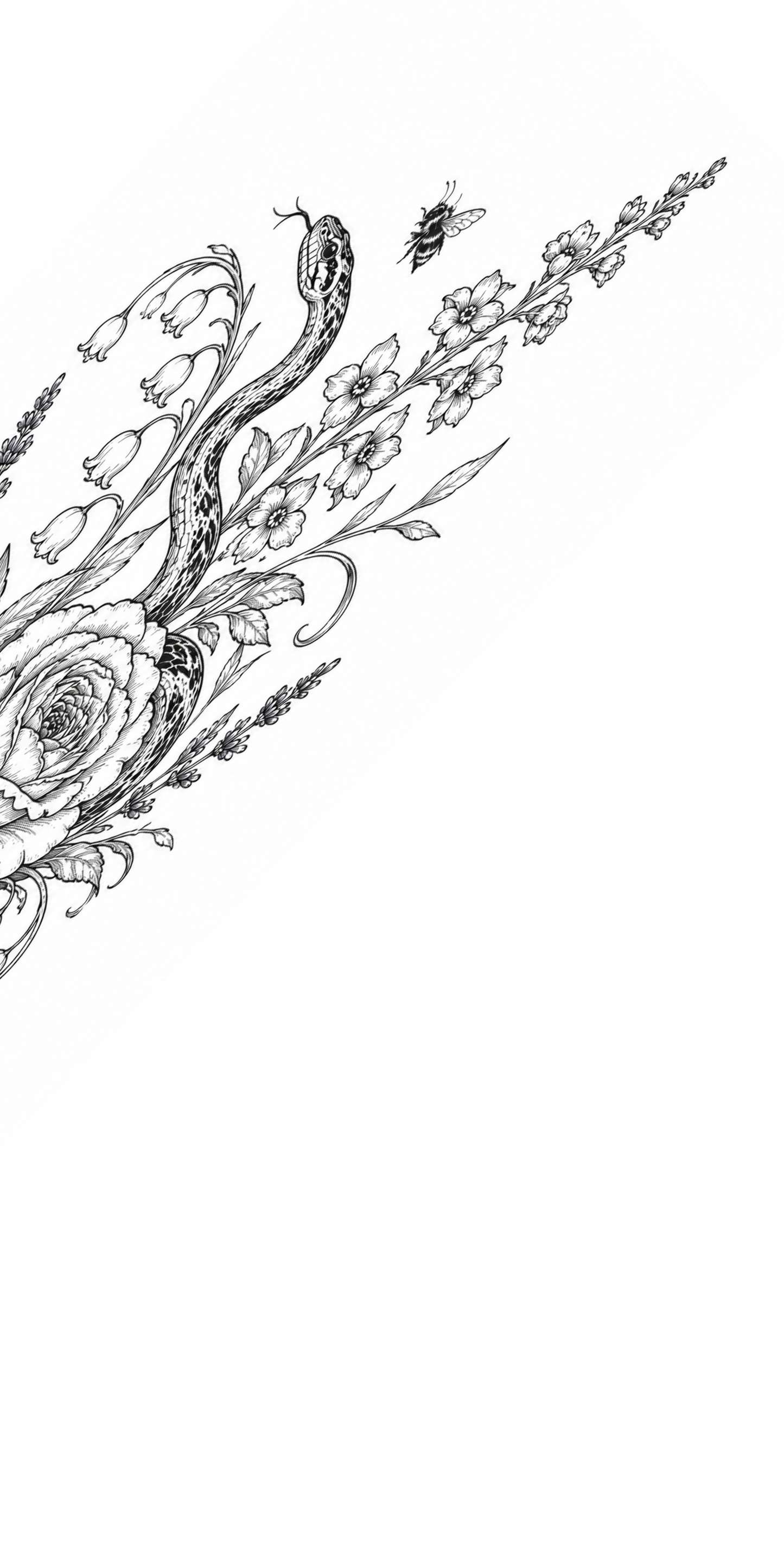 Semi-Permanent - Black Line Only